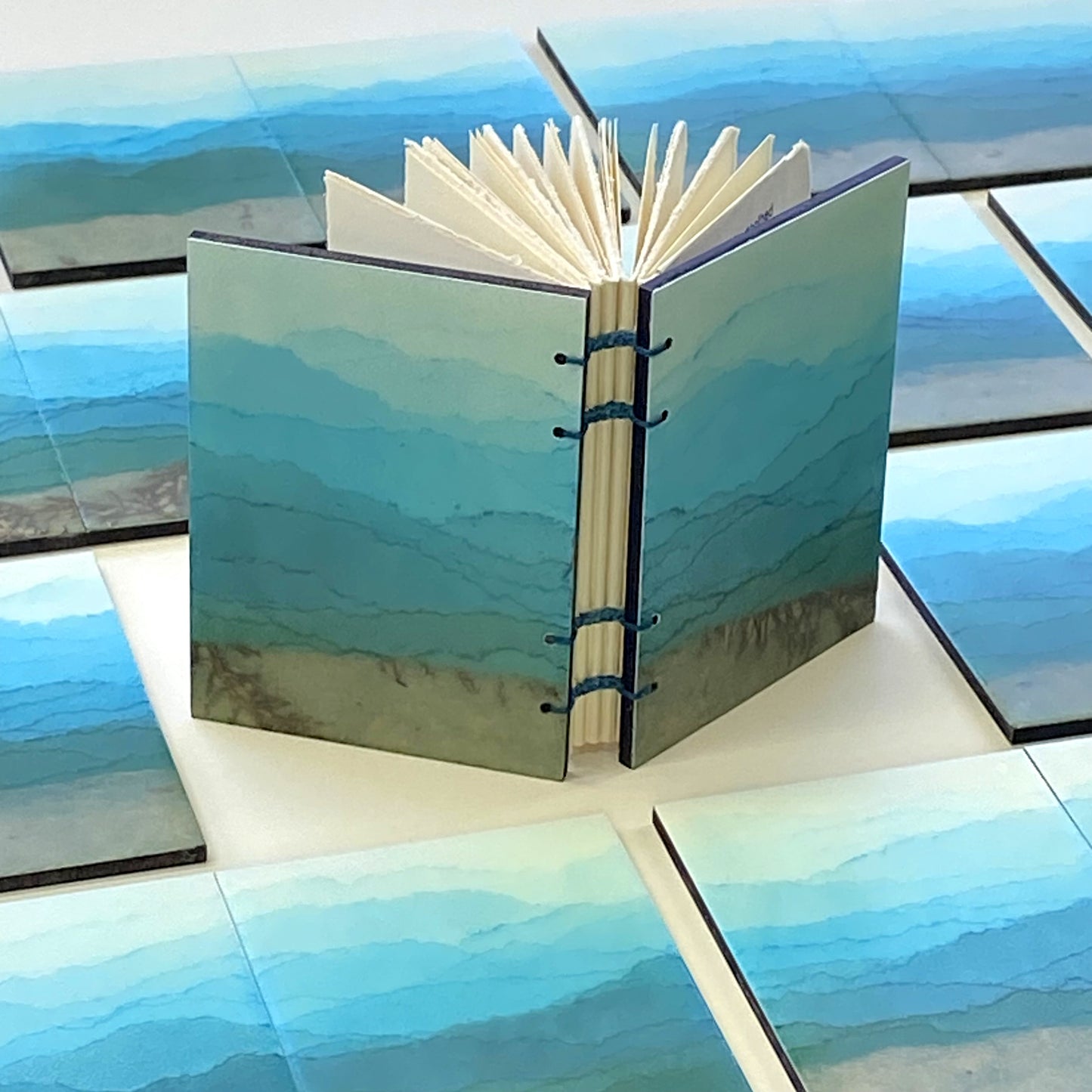 Blue Ridge Mountain Books Journal by Erin Keane