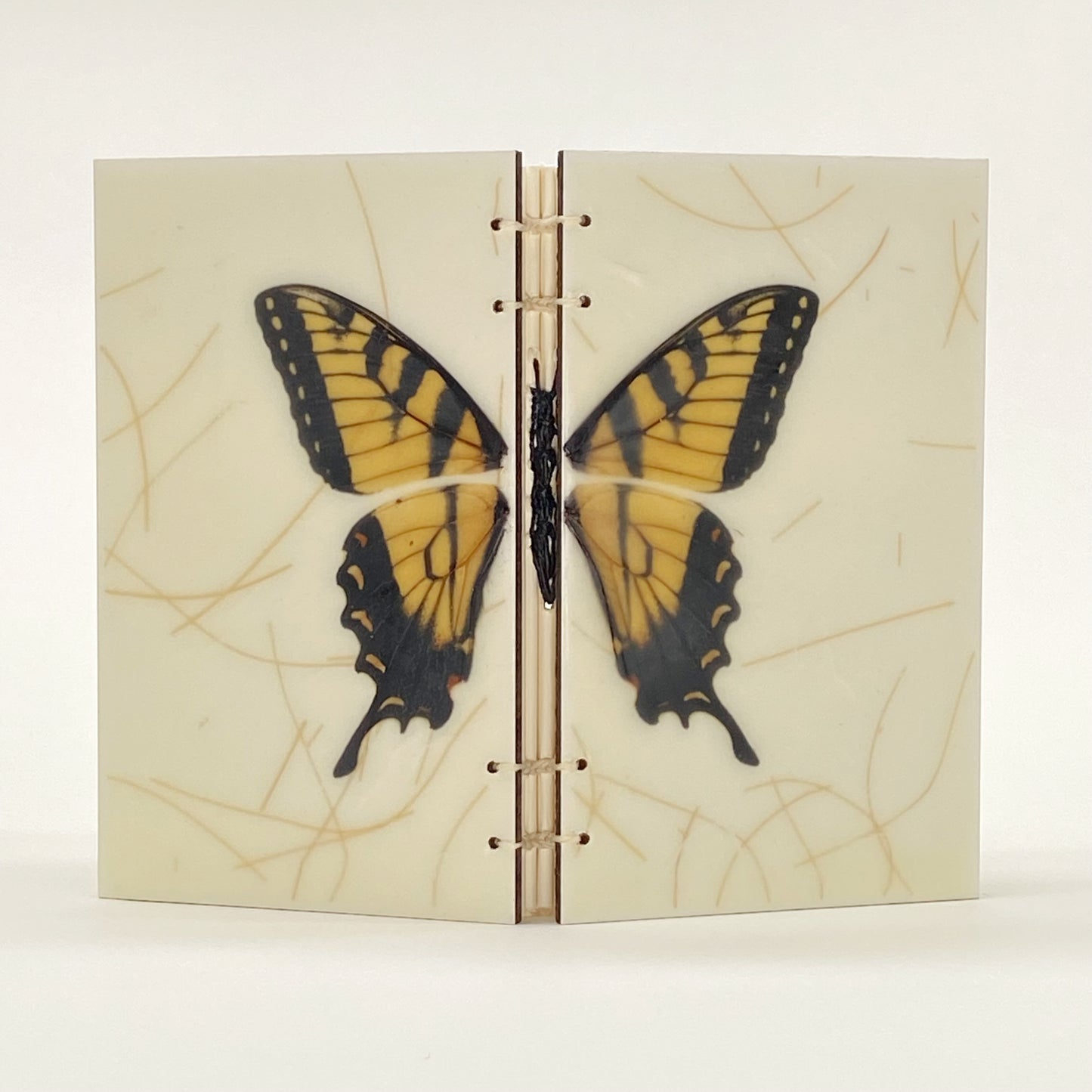 Butterfly Book Sketchbook by Erin Keane