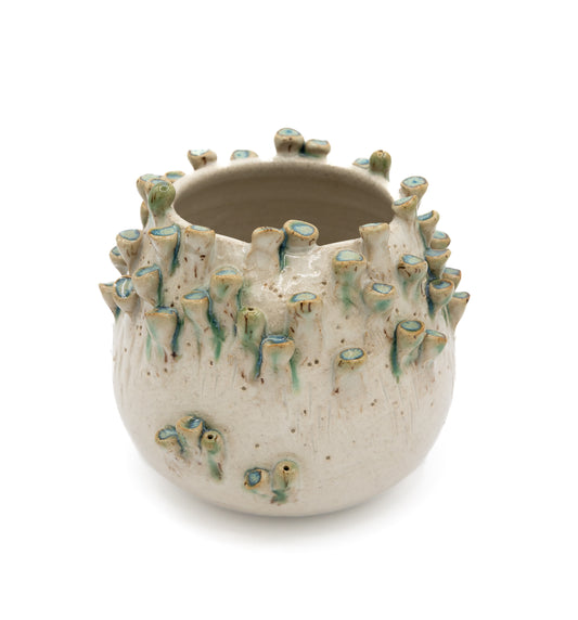 Barnacle Vase