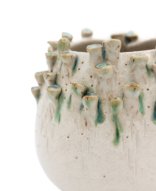 Barnacle Vase
