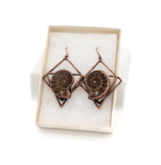 Ammonite Earrings by Nina Kawar