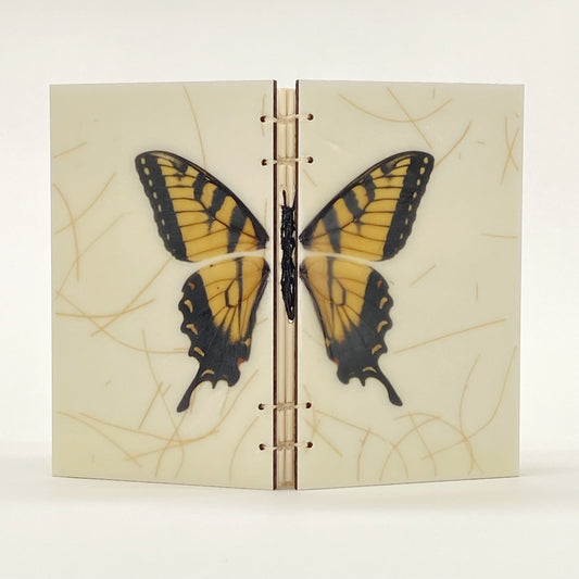 Butterfly Book Sketchbook by Erin Keane