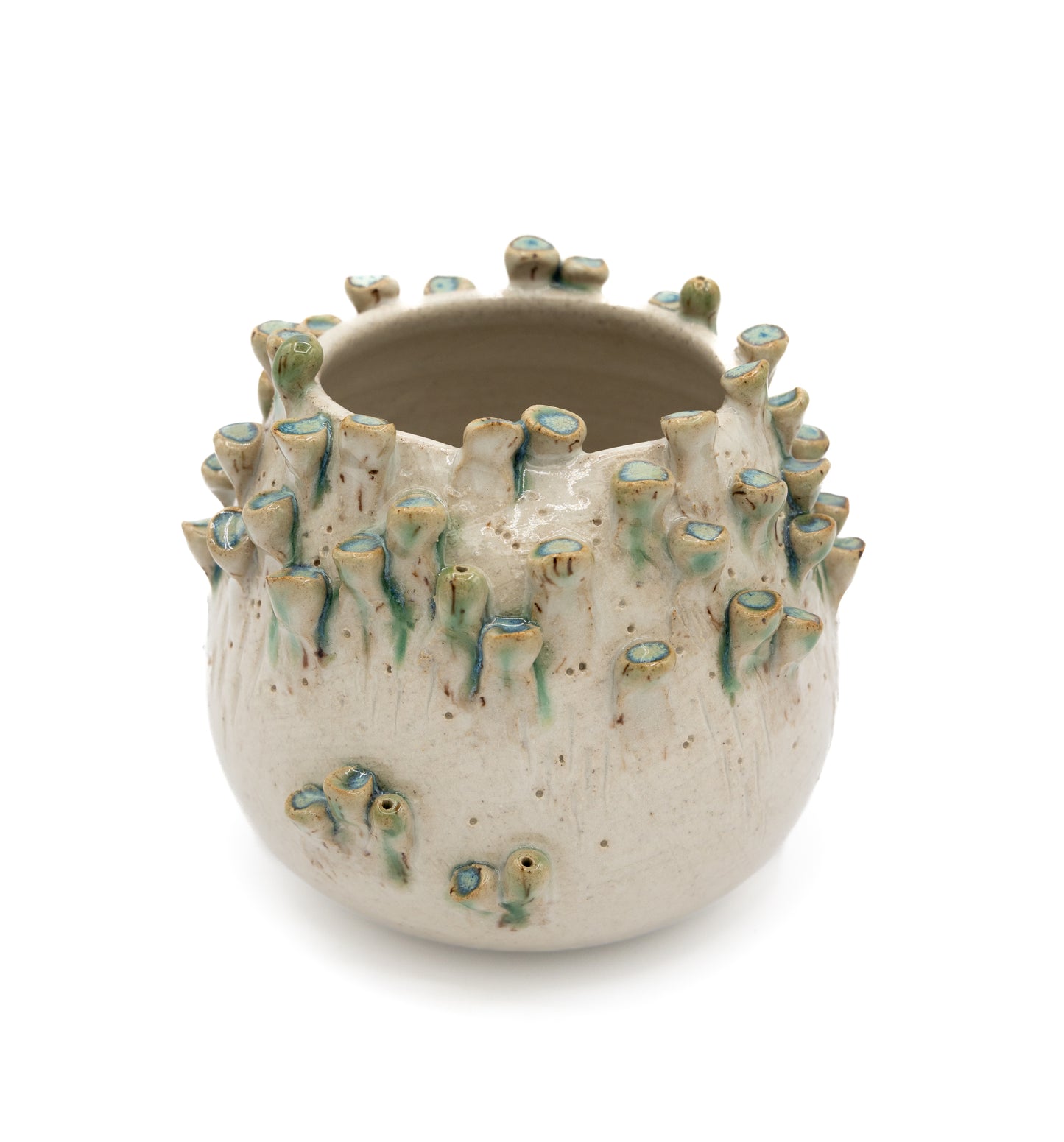 Barnacle Vase