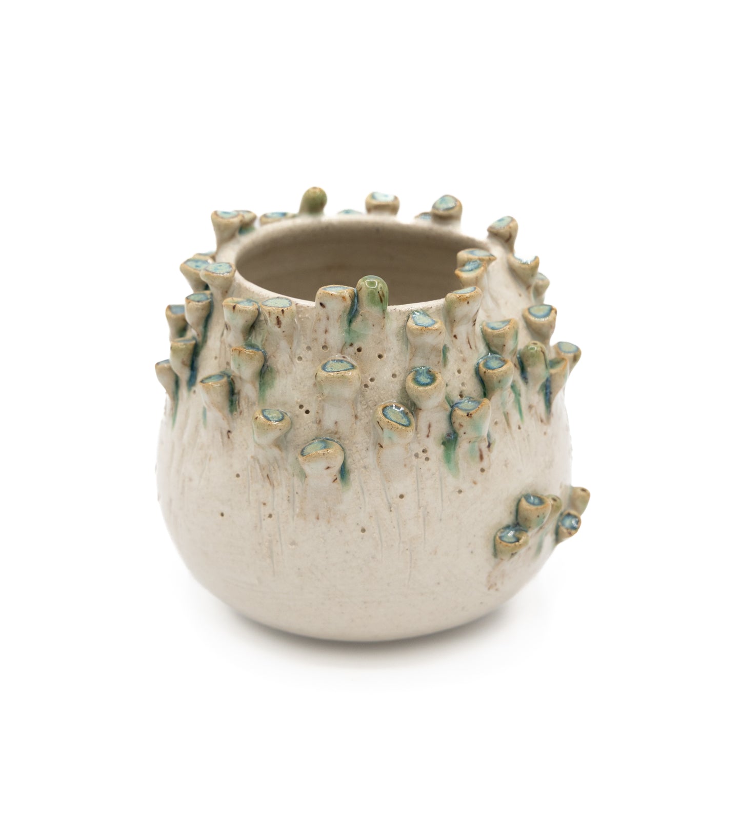 Barnacle Vase