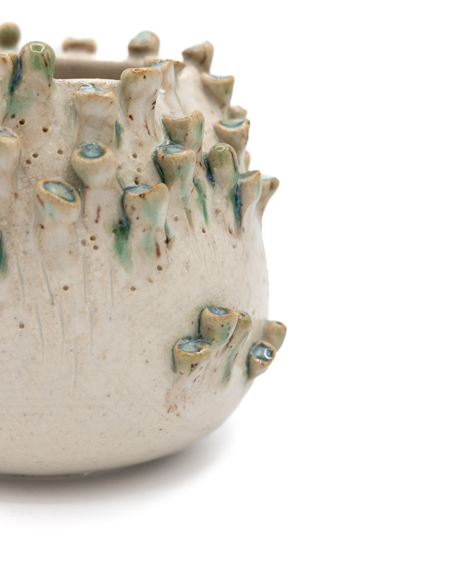 Barnacle Vase